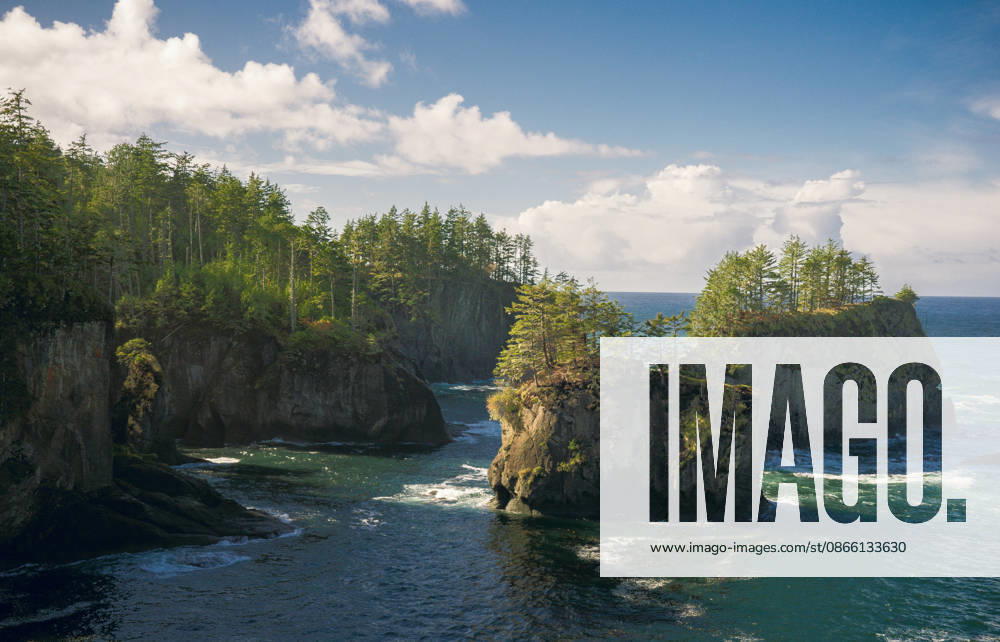 Forested cliffs along the rugged pacific northwest coast Neah Bay, Washington, United States CR_KWTG260826-2112089-01 ,model released, Symbolfoto ,property released