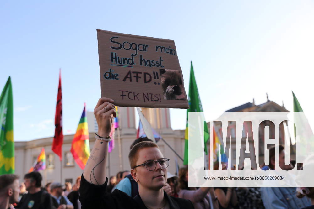 A protester holding a sign reading Even my dog hates the AfD FCK NZS during a rally against the Alternative for Germany (AfD) party following its victory in the state election in Saxony-Anhalt, Alter Markt, Potsdam, September 7, 2026. Rally against the AfD in Potsdam