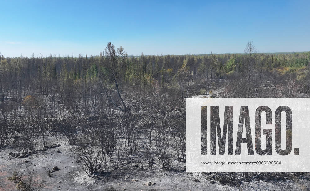 Firefighting efforts continue at the wildfire in Antalya ANTALYA, TURKIYE - SEPTEMBER 9: A view of forest area after wildfire in the Aksu district of Antalya, Turkiye on September 9, 2026. The wildfire spread across a vast area as efforts to bring the blaze under control continue. Orhan Cicek Anadolu Antalya Turkey. Editorial use only. Please get in touch for any other usage.
