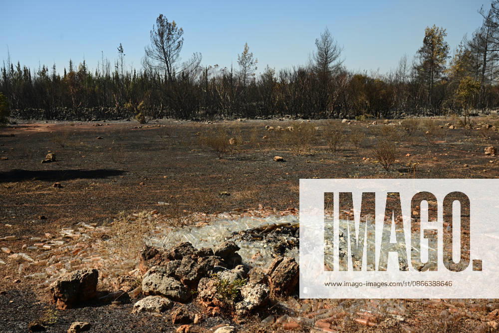Firefighting efforts continue at the wildfire in Antalya ANTALYA, TURKIYE - SEPTEMBER 9: A view of forest area after wildfire in the Aksu district of Antalya, Turkiye on September 9, 2026. The wildfire spread across a vast area as efforts to bring the blaze under control continue. Orhan Cicek Anadolu Antalya Turkey. Editorial use only. Please get in touch for any other usage.