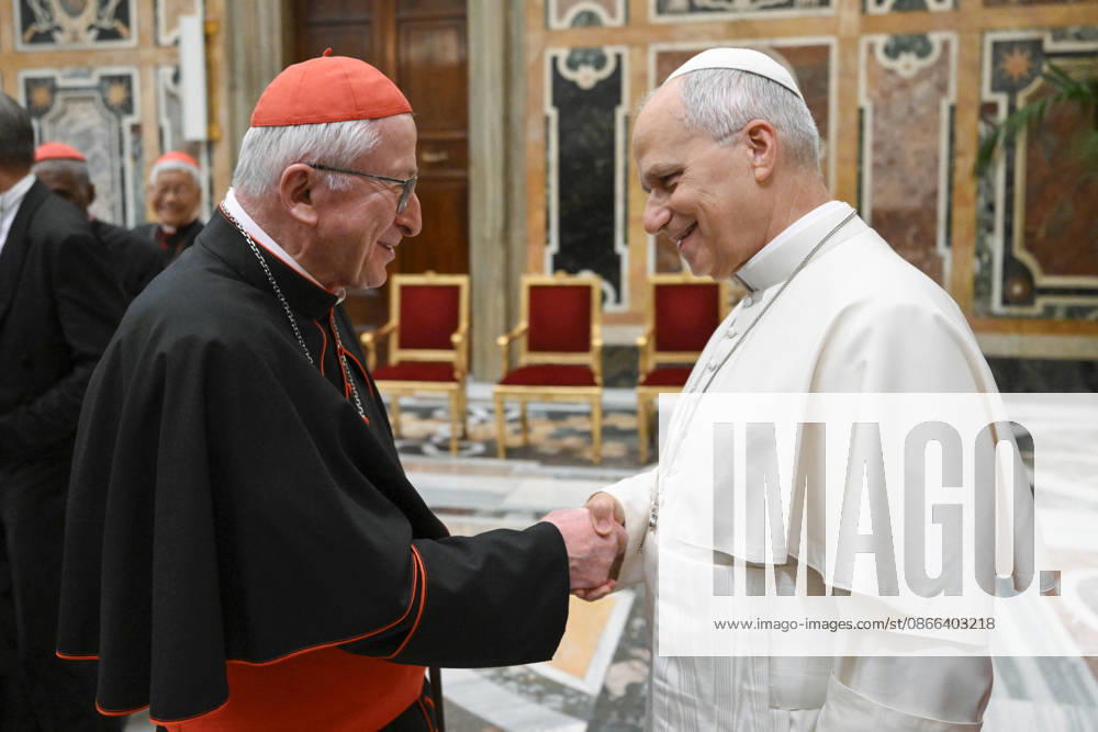 POPE LEO XIV PRIVATE AUDIENCE Italy, Rome, Vatican, 2026 9 9 Pope Leo XIV receives bishops associated with the Focolare Movement in a private audience at the Vatican. - NO BOOKS