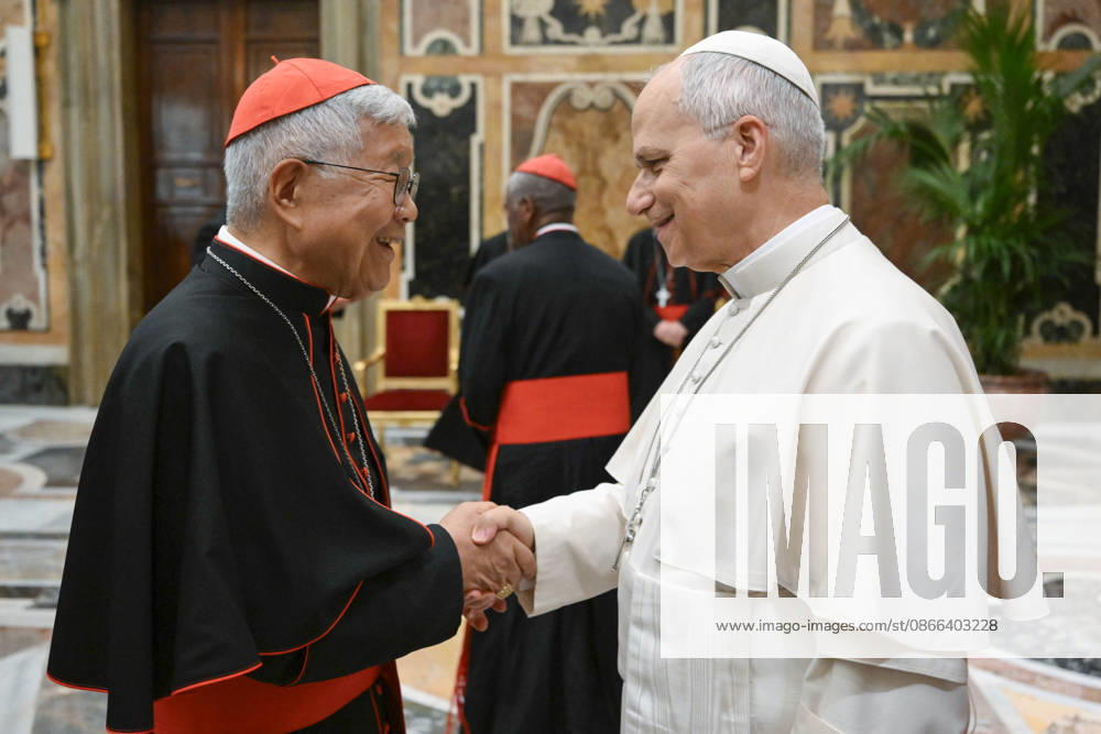 POPE LEO XIV PRIVATE AUDIENCE Italy, Rome, Vatican, 2026 9 9 Pope Leo XIV receives bishops associated with the Focolare Movement in a private audience at the Vatican. - NO BOOKS