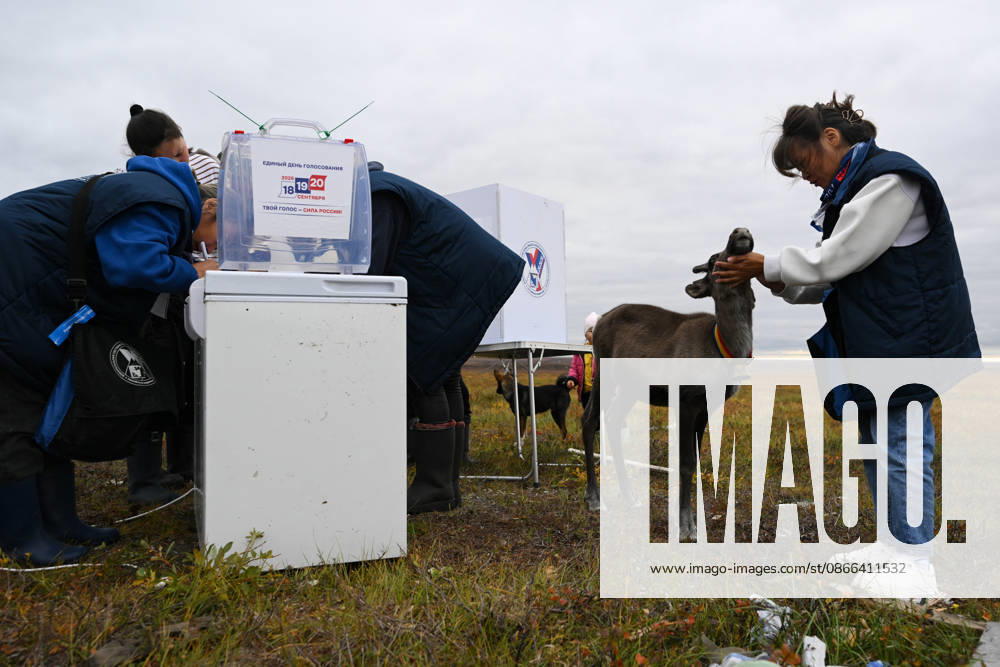 Russia Parliamentary Election Early Voting 9239423 09.09.2026 A member of the local commission pets a deer during the early voting in remote areas ahead of State Duma elections, in Yamalo-Nenets Autonomous Area, Russia. Russians will vote in State Duma, the lower house of parliament, and municipal elections over three days, from September 18-20. Alexandr Kryazhev Sputnik Yamalo-Nenets Autonomous Area Russia
