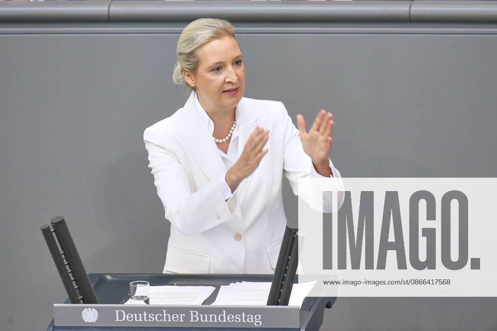 German Bundestag 92nd Session Budget Week Alice Weidel, AfD