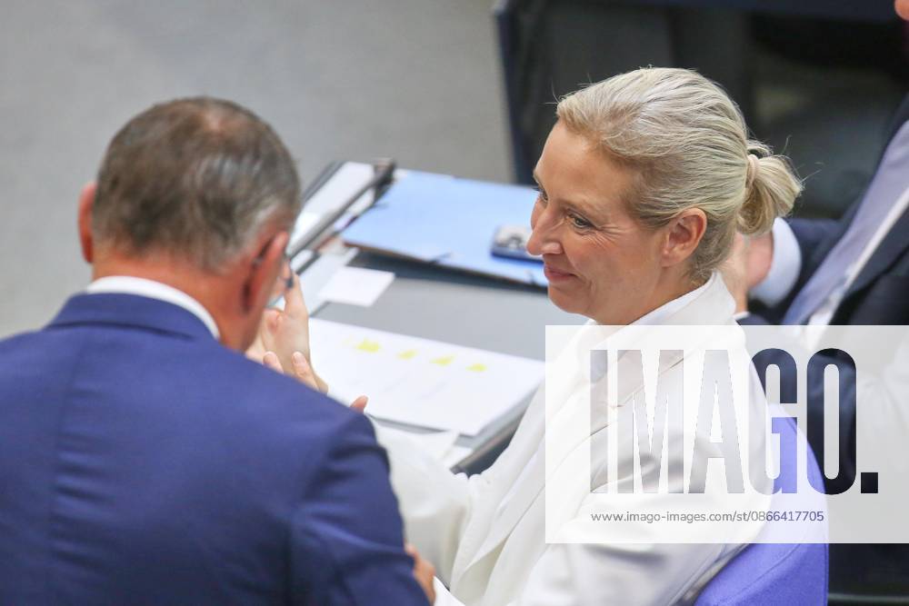 German Bundestag 92nd Session of the Bundestag Budget Week AfD Chairpersons Tino Chrupalla and Alice Weide