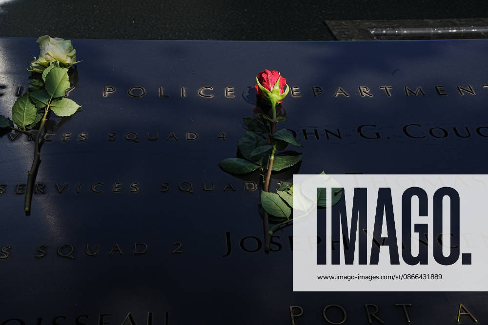 A rose lays at the NYPD memorial along the South Tower reflecting pool ahead of the 25th anniversary of the attacks of September 11 at the 9 11 Memorial on September 9, 2026 in New York. New York USA - ZUMAb148 20260909_zap_b148_052