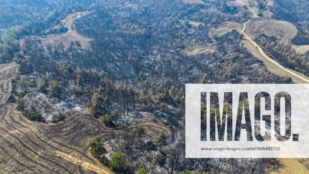 Efforts continue to contain forest fire in Adana ADANA, TURKIYE - SEPTEMBER 10: An aerial view shows areas damaged by a wildfire that started in Kozan district and spread to some neighborhoods in the Imamoglu and Aladag districts of Adana, Turkiye on September 10, 2026, as efforts continue to bring the fire under control. Eren Bozkurt Anadolu Adana Turkey. Editorial use only. Please get in touch for any other usage.