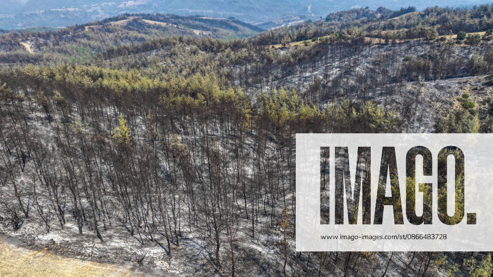 Efforts continue to contain forest fire in Adana ADANA, TURKIYE - SEPTEMBER 10: An aerial view shows areas damaged by a wildfire that started in Kozan district and spread to some neighborhoods in the Imamoglu and Aladag districts of Adana, Turkiye on September 10, 2026, as efforts continue to bring the fire under control. Eren Bozkurt Anadolu Adana Turkey. Editorial use only. Please get in touch for any other usage.