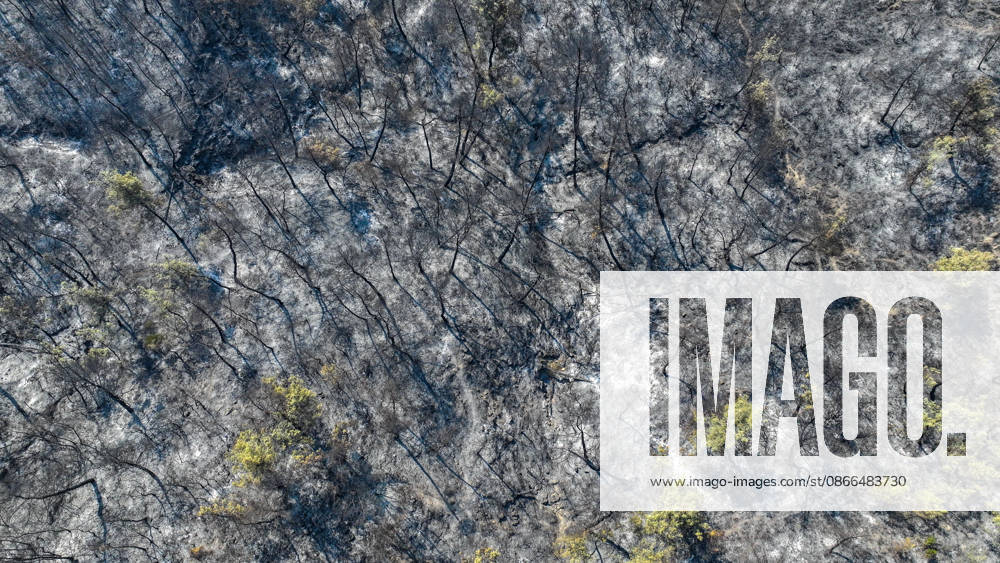 Efforts continue to contain forest fire in Adana ADANA, TURKIYE - SEPTEMBER 10: An aerial view shows areas damaged by a wildfire that started in Kozan district and spread to some neighborhoods in the Imamoglu and Aladag districts of Adana, Turkiye on September 10, 2026, as efforts continue to bring the fire under control. Eren Bozkurt Anadolu Adana Turkey. Editorial use only. Please get in touch for any other usage.