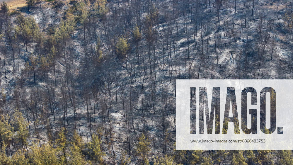 Efforts continue to contain forest fire in Adana ADANA, TURKIYE - SEPTEMBER 10: An aerial view shows areas damaged by a wildfire that started in Kozan district and spread to some neighborhoods in the Imamoglu and Aladag districts of Adana, Turkiye on September 10, 2026, as efforts continue to bring the fire under control. Eren Bozkurt Anadolu Adana Turkey. Editorial use only. Please get in touch for any other usage.
