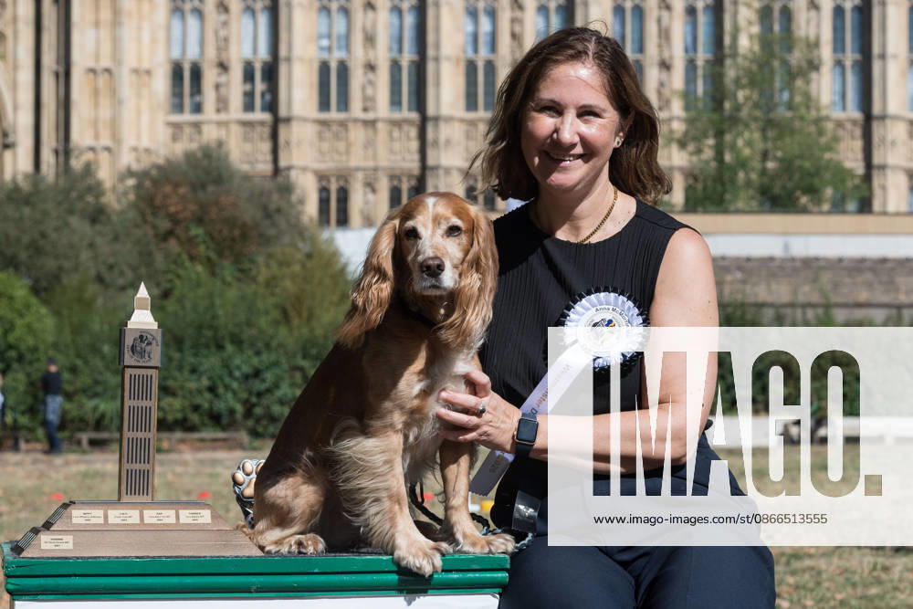 Anna McMorrin MP and her working cocker spaniel Cadi, the winners of the 1st place in the Westminster Dog of the Year competition pose in the Victoria Tower Gardens during the Westminster Dog of the Year competition. The event is a celebration of the unique bond between dogs and their owners, and gives parliamentarians the opportunity to highlight the important work that they ve undertaken in Parliament on dog related matters, whilst promoting responsible dog ownership. London United Kingdom - ZUMAs371 20260910_zip_s371_001