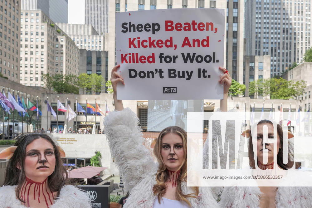PETA protests NYFW at Rockefeller Center with a grisly display dressed.as bruised and bloody sheep outside the venue with lifelike dead lambs.and the message Wool Kills . The graphic protest over wool farms cruelty claims .inhumane wool shearing and terrified sheep. New York USA - ZUMAh156 20260910_znp_h156_001