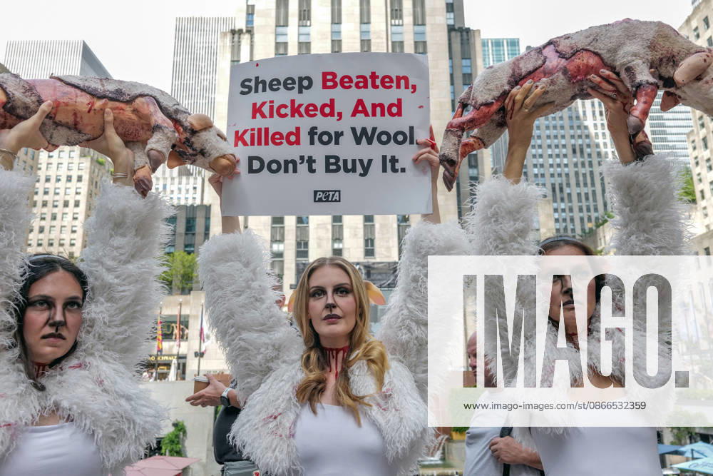 PETA protests NYFW at Rockefeller Center with a grisly display dressed.as bruised and bloody sheep outside the venue with lifelike dead lambs.and the message Wool Kills . The graphic protest over wool farms cruelty claims .inhumane wool shearing and terrified sheep. New York USA - ZUMAh156 20260910_znp_h156_002