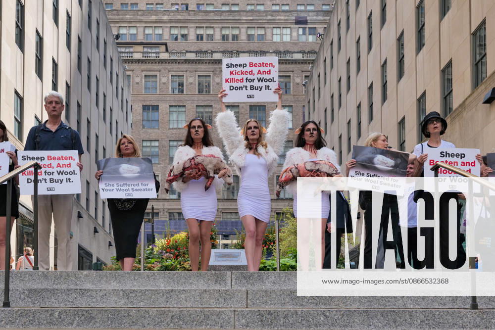 PETA protests NYFW at Rockefeller Center with a grisly display dressed.as bruised and bloody sheep outside the venue with lifelike dead lambs.and the message Wool Kills . The graphic protest over wool farms cruelty claims .inhumane wool shearing and terrified sheep. New York USA - ZUMAh156 20260910_znp_h156_003