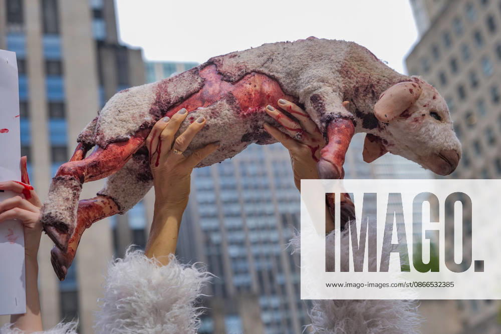 PETA protests NYFW at Rockefeller Center with a grisly display dressed.as bruised and bloody sheep outside the venue with lifelike dead lambs.and the message Wool Kills . The graphic protest over wool farms cruelty claims .inhumane wool shearing and terrified sheep. New York USA - ZUMAh156 20260910_znp_h156_004