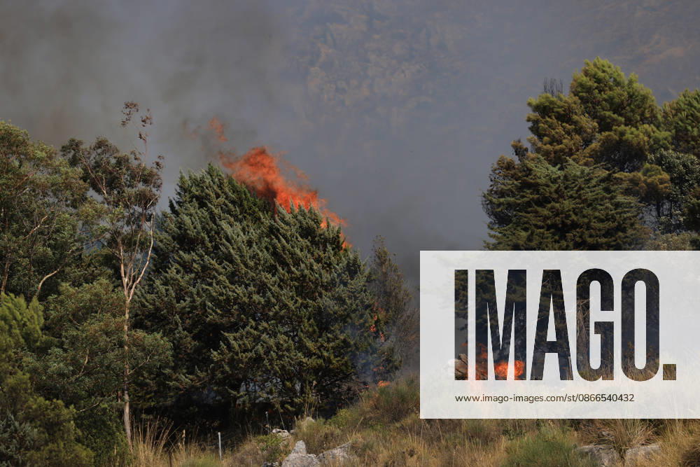 Wildfire near Palermo threatens homes in Giardinello, Sicily PALERMO, ITALY - SEPTEMBER 10: Flames and thick smoke rise from a forested area during a wildfire near Giardinello, close to Palermo on the island of Sicily, on September 10, 2026 in Palermo, Italy. The blaze began in the Carcatizzi area around midday a day earlier and spread rapidly, threatening nearby residential areas and damaging several homes. Firefighters battled the fire from the ground with fire engines and from the air with a firefighting aircraft and two helicopters. Alberto Lo Bianco Anadolu Sicily Italy. Editorial use only. Please get in touch for any other usage.