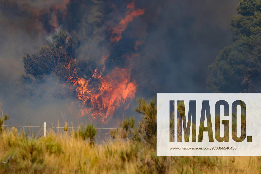 Wildfire near Palermo threatens homes in Giardinello, Sicily PALERMO, ITALY - SEPTEMBER 10: Flames and thick smoke rise from a forested area during a wildfire near Giardinello, close to Palermo on the island of Sicily, on September 10, 2026 in Palermo, Italy. The blaze began in the Carcatizzi area around midday a day earlier and spread rapidly, threatening nearby residential areas and damaging several homes. Firefighters battled the fire from the ground with fire engines and from the air with a firefighting aircraft and two helicopters. Alberto Lo Bianco Anadolu Sicily Italy. Editorial use only. Please get in touch for any other usage.