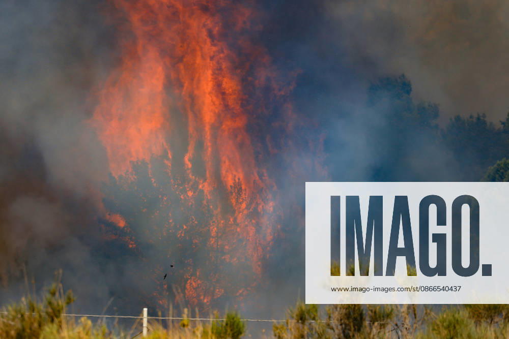 Wildfire near Palermo threatens homes in Giardinello, Sicily PALERMO, ITALY - SEPTEMBER 10: Flames and thick smoke rise from a forested area during a wildfire near Giardinello, close to Palermo on the island of Sicily, on September 10, 2026 in Palermo, Italy. The blaze began in the Carcatizzi area around midday a day earlier and spread rapidly, threatening nearby residential areas and damaging several homes. Firefighters battled the fire from the ground with fire engines and from the air with a firefighting aircraft and two helicopters. Alberto Lo Bianco Anadolu Sicily Italy. Editorial use only. Please get in touch for any other usage.