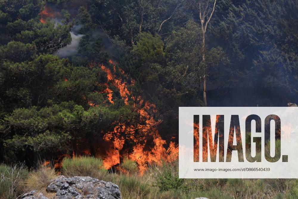 Wildfire near Palermo threatens homes in Giardinello, Sicily PALERMO, ITALY - SEPTEMBER 10: Flames and thick smoke rise from a forested area during a wildfire near Giardinello, close to Palermo on the island of Sicily, on September 10, 2026 in Palermo, Italy. The blaze began in the Carcatizzi area around midday a day earlier and spread rapidly, threatening nearby residential areas and damaging several homes. Firefighters battled the fire from the ground with fire engines and from the air with a firefighting aircraft and two helicopters. Alberto Lo Bianco Anadolu Sicily Italy. Editorial use only. Please get in touch for any other usage.