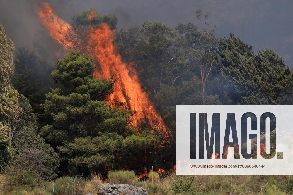 Wildfire near Palermo threatens homes in Giardinello, Sicily PALERMO, ITALY - SEPTEMBER 10: Flames and thick smoke rise from a forested area during a wildfire near Giardinello, close to Palermo on the island of Sicily, on September 10, 2026 in Palermo, Italy. The blaze began in the Carcatizzi area around midday a day earlier and spread rapidly, threatening nearby residential areas and damaging several homes. Firefighters battled the fire from the ground with fire engines and from the air with a firefighting aircraft and two helicopters. Alberto Lo Bianco Anadolu Sicily Italy. Editorial use only. Please get in touch for any other usage.