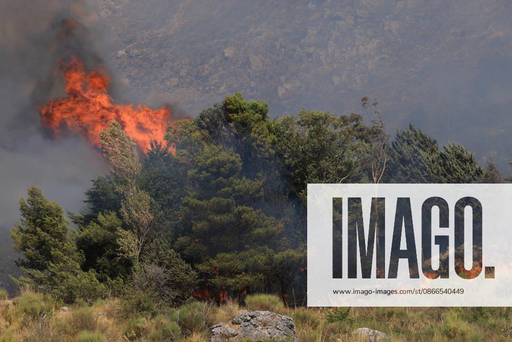 Wildfire near Palermo threatens homes in Giardinello, Sicily PALERMO, ITALY - SEPTEMBER 10: Flames and thick smoke rise from a forested area during a wildfire near Giardinello, close to Palermo on the island of Sicily, on September 10, 2026 in Palermo, Italy. The blaze began in the Carcatizzi area around midday a day earlier and spread rapidly, threatening nearby residential areas and damaging several homes. Firefighters battled the fire from the ground with fire engines and from the air with a firefighting aircraft and two helicopters. Alberto Lo Bianco Anadolu Sicily Italy. Editorial use only. Please get in touch for any other usage.