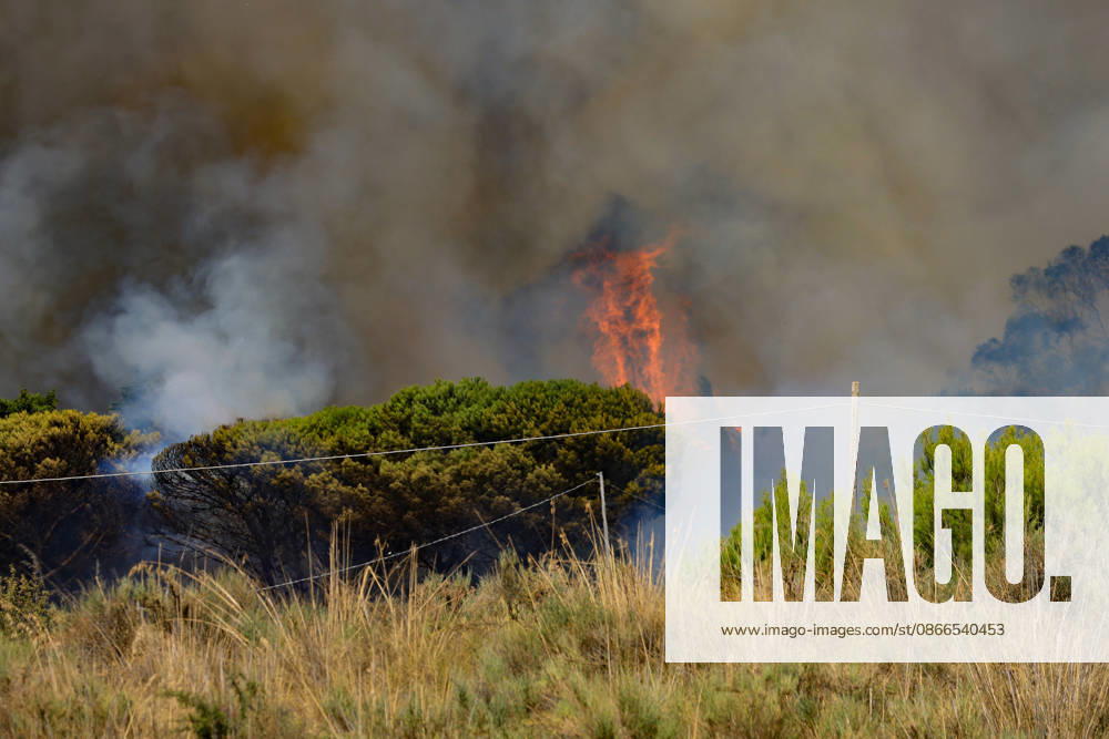 Wildfire near Palermo threatens homes in Giardinello, Sicily PALERMO, ITALY - SEPTEMBER 10: Flames and thick smoke rise from a forested area during a wildfire near Giardinello, close to Palermo on the island of Sicily, on September 10, 2026 in Palermo, Italy. The blaze began in the Carcatizzi area around midday a day earlier and spread rapidly, threatening nearby residential areas and damaging several homes. Firefighters battled the fire from the ground with fire engines and from the air with a firefighting aircraft and two helicopters. Alberto Lo Bianco Anadolu Sicily Italy. Editorial use only. Please get in touch for any other usage.