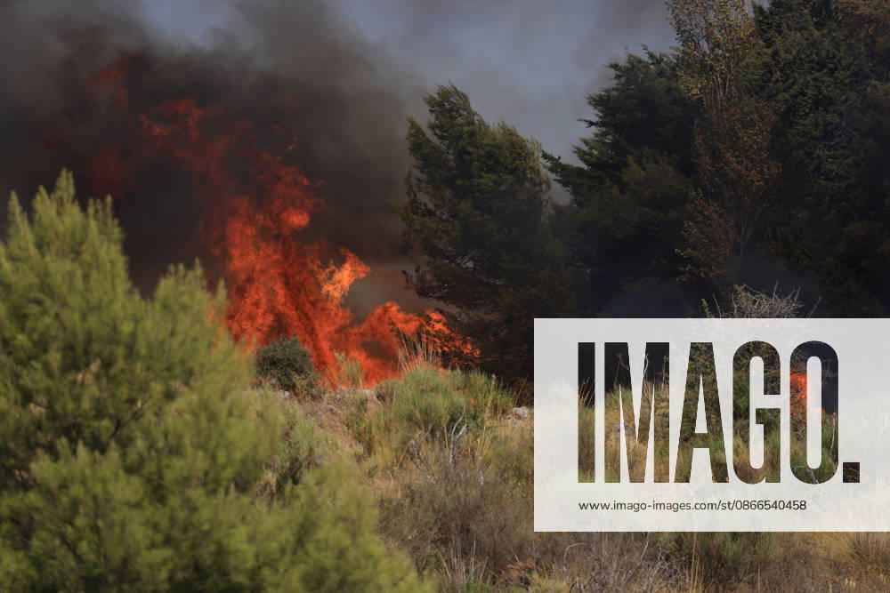 Wildfire near Palermo threatens homes in Giardinello, Sicily PALERMO, ITALY - SEPTEMBER 10: Flames and thick smoke rise from a forested area during a wildfire near Giardinello, close to Palermo on the island of Sicily, on September 10, 2026 in Palermo, Italy. The blaze began in the Carcatizzi area around midday a day earlier and spread rapidly, threatening nearby residential areas and damaging several homes. Firefighters battled the fire from the ground with fire engines and from the air with a firefighting aircraft and two helicopters. Alberto Lo Bianco Anadolu Sicily Italy. Editorial use only. Please get in touch for any other usage.