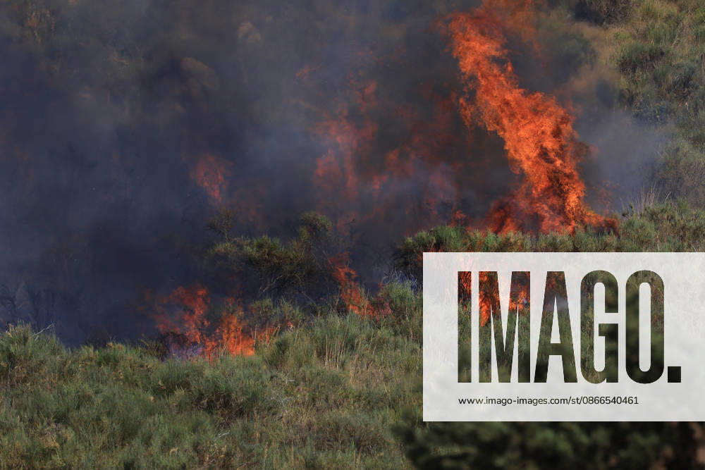 Wildfire near Palermo threatens homes in Giardinello, Sicily PALERMO, ITALY - SEPTEMBER 10: Flames and thick smoke rise from a forested area during a wildfire near Giardinello, close to Palermo on the island of Sicily, on September 10, 2026 in Palermo, Italy. The blaze began in the Carcatizzi area around midday a day earlier and spread rapidly, threatening nearby residential areas and damaging several homes. Firefighters battled the fire from the ground with fire engines and from the air with a firefighting aircraft and two helicopters. Alberto Lo Bianco Anadolu Sicily Italy. Editorial use only. Please get in touch for any other usage.