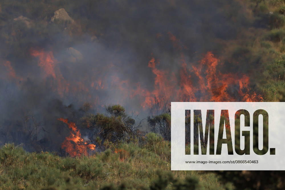 Wildfire near Palermo threatens homes in Giardinello, Sicily PALERMO, ITALY - SEPTEMBER 10: Flames and thick smoke rise from a forested area during a wildfire near Giardinello, close to Palermo on the island of Sicily, on September 10, 2026 in Palermo, Italy. The blaze began in the Carcatizzi area around midday a day earlier and spread rapidly, threatening nearby residential areas and damaging several homes. Firefighters battled the fire from the ground with fire engines and from the air with a firefighting aircraft and two helicopters. Alberto Lo Bianco Anadolu Sicily Italy. Editorial use only. Please get in touch for any other usage.