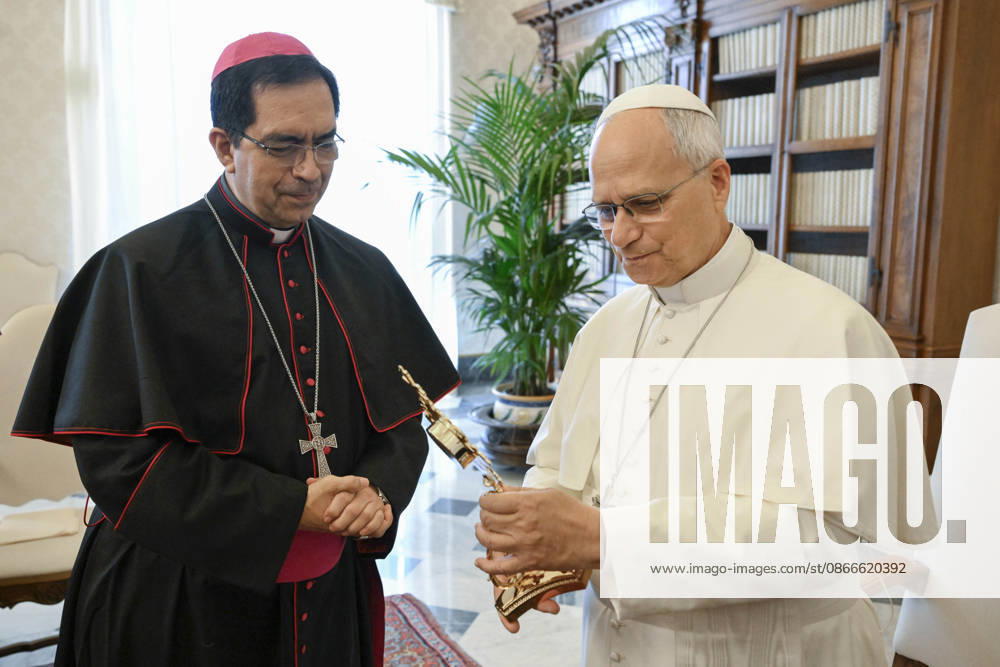 PRIVATE AUDIENCE Italy,Rome, Vatican, 2026 9 11 Pope Leo XIV receives in private audience the bishops of El Salvador, who are on an ad Limina Apostolorum visit to the Vatican - NO BOOKS