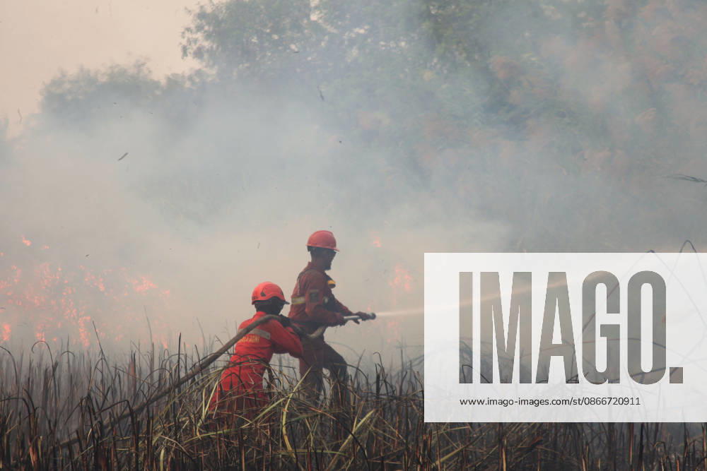 Firefighters battle forest fires in Indonesia s South Sumatra OGAN ILIR, INDONESIA - SEPTEMBER 12 : Indonesian firefighter from Manggala Agni tried to extinguish wildfires at Sungai Rambutan Regency in Ogan Ilir, South Sumatera, Indonesia on September 12, 2026. El Nino conditions are helping to fuel wildfires across Indonesia, leaving some 113,336 people respiratory illnesses according to the country’s health officials. High-intensity wildfires on Indonesia’s Borneo and Sumatra islands are worsening air quality and affecting neighbouring countries in South East Asia, including Malaysia, Singapore and the Philippines. Muhammad Fajri Anadolu Ogan ilir Indonesia. Editorial use only. Please get in touch for any other usage.