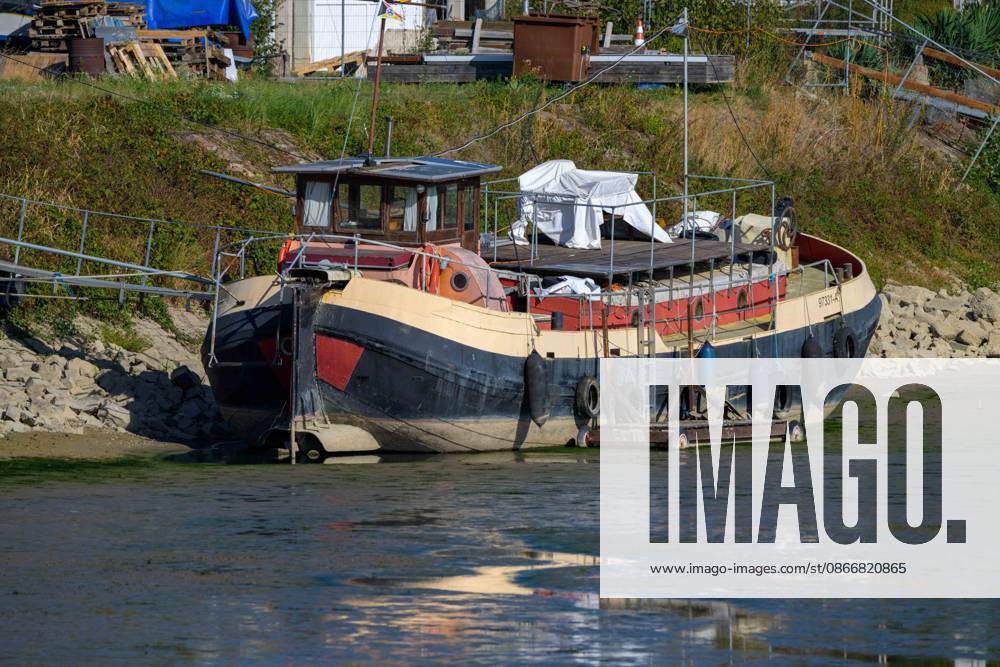 Old Ship Stranded on the Mud at Low Water, Wörth am Rhein, Germany, September 14, 2026. An old motorboat lies stranded on the muddy bank near Maxau during low water on the Rhine, with a shallow patch of remaining water in front of it—a symbolic image of drought.