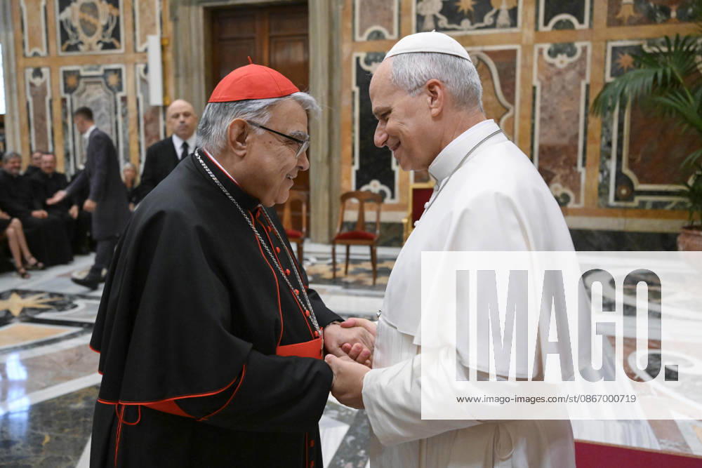 PRIVATE AUDIENCE_PAPA_2026 Italy,Rome, Vatican, 2026 9 16 Pope Leo XIV receives in a private audience participants in the academic conference organized by the Congregation for the Causes of Saints at the Vatican . - NO BOOKS
