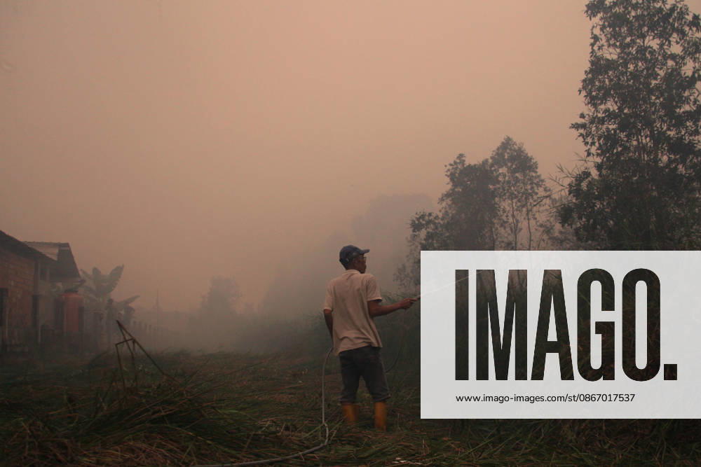 Wildfires fueled by El Nino affect Indonesia PALEMBANG, INDONESIA - SEPTEMBER 16: A man tries to extinguish a wildfire near his home in Sematang Borang district of Palembang, South Sumatra, Indonesia, on September 16, 2026. El Nino conditions are fueling wildfires across Indonesia, with around 113,336 cases of respiratory illness reported, according to health officials. Children under the age of 5 account for 26,545 cases, more than 20% of all recorded acute respiratory infection cases. Around 12.5 million people have been affected by wildfires, according to data from the Indonesian Health Ministry. Muhammad Fajri Anadolu Palembang Indonesia. Editorial use only. Please get in touch for any other usage.