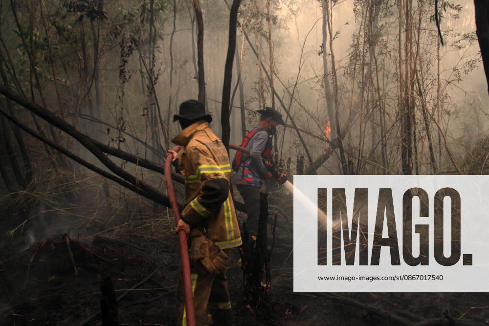Wildfires fueled by El Nino affect Indonesia PALEMBANG, INDONESIA - SEPTEMBER 16: Indonesian firefighters try to extinguish a wildfire near resident area in Sematang Borang district of Palembang, South Sumatra, Indonesia, on September 16, 2026. El Nino conditions are fueling wildfires across Indonesia, with around 113,336 cases of respiratory illness reported, according to health officials. Children under the age of 5 account for 26,545 cases, more than 20% of all recorded acute respiratory infection cases. Around 12.5 million people have been affected by wildfires, according to data from the Indonesian Health Ministry. Muhammad Fajri Anadolu Palembang Indonesia. Editorial use only. Please get in touch for any other usage.