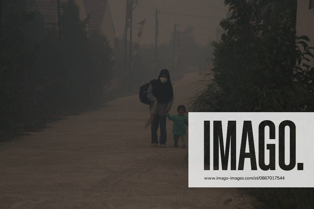 Wildfires fueled by El Nino affect Indonesia PALEMBANG, INDONESIA - SEPTEMBER 16: A mother and her daughter walk through the smoke as wildfire breaks out near their house in Sematang Borang district of Palembang, South Sumatra, Indonesia, on September 16, 2026. El Nino conditions are fueling wildfires across Indonesia, with around 113,336 cases of respiratory illness reported, according to health officials. Children under the age of 5 account for 26,545 cases, more than 20% of all recorded acute respiratory infection cases. Around 12.5 million people have been affected by wildfires, according to data from the Indonesian Health Ministry. Muhammad Fajri Anadolu Palembang Indonesia. Editorial use only. Please get in touch for any other usage