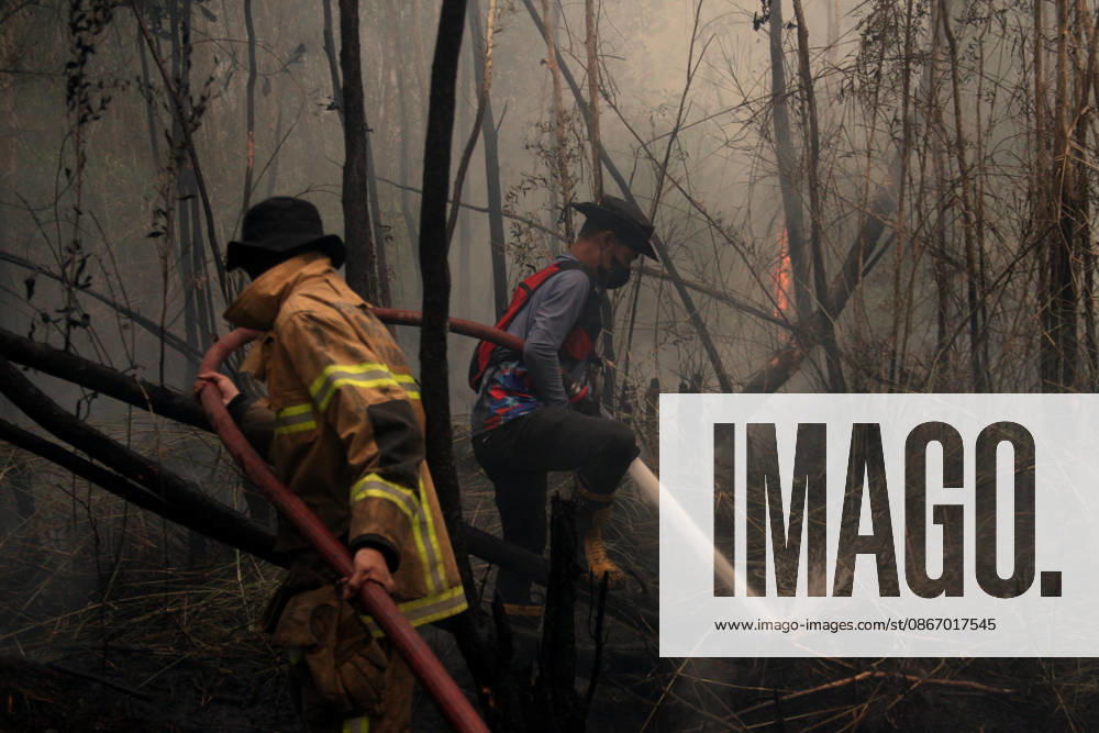 Wildfires fueled by El Nino affect Indonesia PALEMBANG, INDONESIA - SEPTEMBER 16: Indonesian firefighters try to extinguish a wildfire near resident area in Sematang Borang district of Palembang, South Sumatra, Indonesia, on September 16, 2026. El Nino conditions are fueling wildfires across Indonesia, with around 113,336 cases of respiratory illness reported, according to health officials. Children under the age of 5 account for 26,545 cases, more than 20% of all recorded acute respiratory infection cases. Around 12.5 million people have been affected by wildfires, according to data from the Indonesian Health Ministry. Muhammad Fajri Anadolu Palembang Indonesia. Editorial use only. Please get in touch for any other usage.