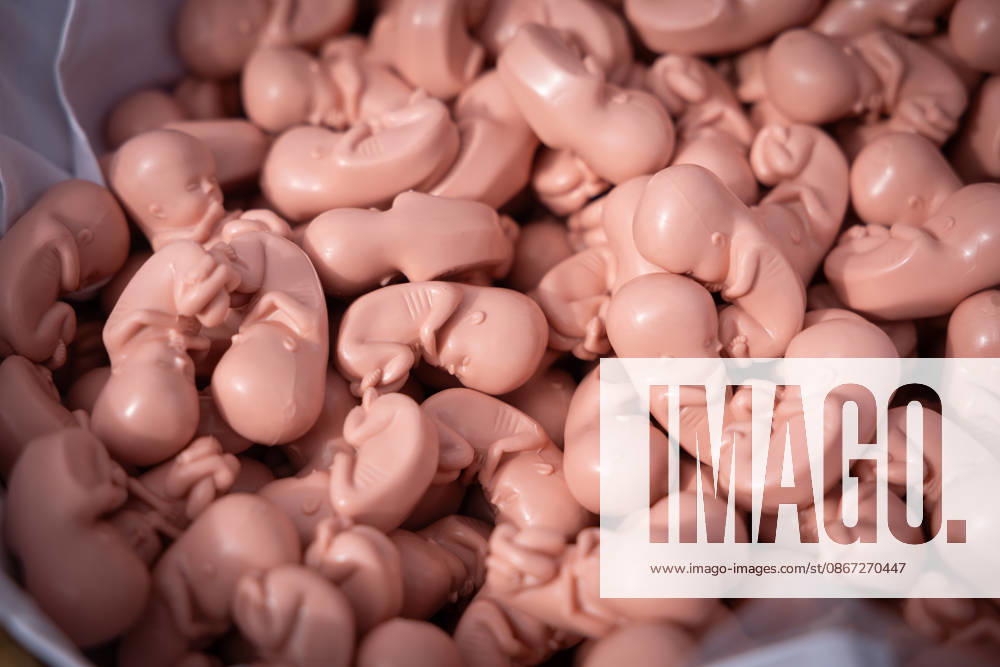 On Saturday, September 19, 2026, numerous anti-abortion activists participated in a March for Life organized by the Federal Association for the Right to Life in Berlin. Plastic embryo models. The Federal Association for the Right to Life is demonstrating against abortion and assisted suicide. Accordi