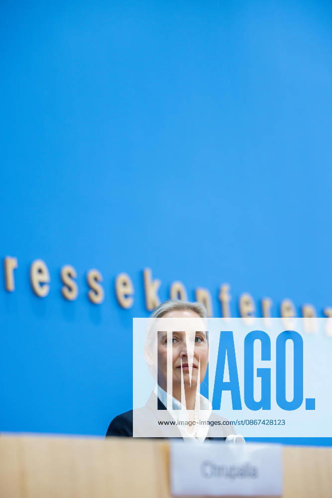 AfD: The Impact of the State Elections in Berlin and Mecklenburg-Western Pomerania on Federal Politics in Germany, Berlin, September 21, 2026. One day after the AfD’s successes in the state elections in Meckle