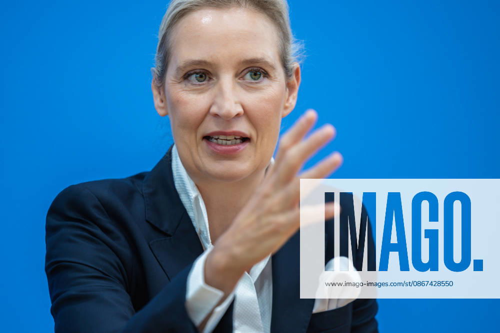 AfD: The Impact of the State Elections in Berlin and Mecklenburg-Western Pomerania on Federal Politics in Germany, Berlin, September 21, 2026 One day after the AfD’s successes in the state elections in Mecklen