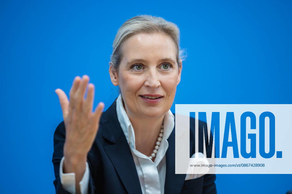 AfD: The Impact of the State Elections in Berlin and Mecklenburg-Western Pomerania on Federal Politics in Germany, Berlin, September 21, 2026 One day after the AfD’s successes in the state elections in Mecklen