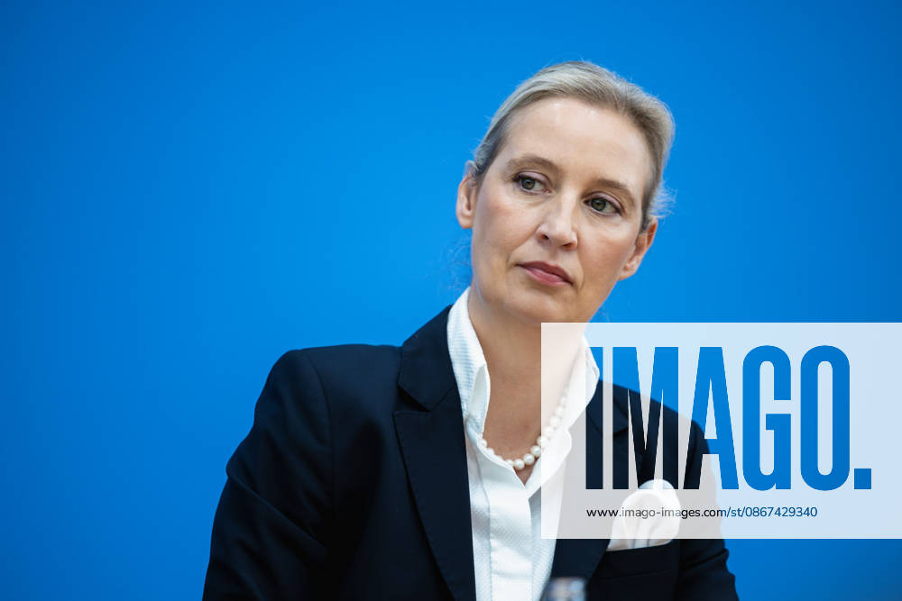 AfD: Impact of the State Elections in Berlin and Mecklenburg-Western Pomerania on Federal Politics in Germany, Berlin, September 21, 2026 One day after the AfD’s successes in the state elections in Mecklenburg