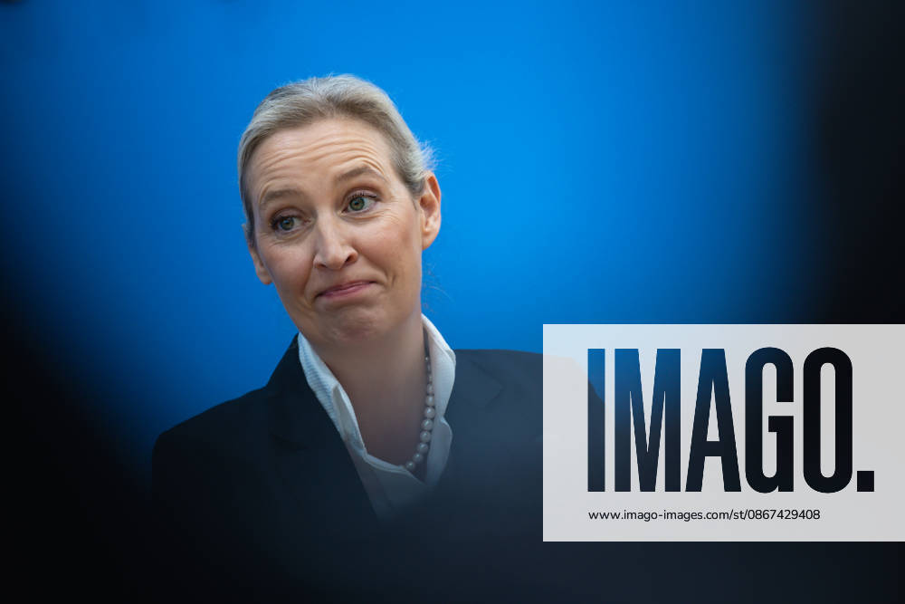 AfD: The Impact of the State Elections in Berlin and Mecklenburg-Western Pomerania on Federal Politics in Germany, Berlin, September 21, 2026 One day after the AfD’s successes in the state elections in Mecklen