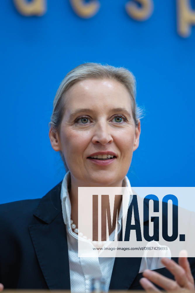 AfD: The Impact of the State Elections in Berlin and Mecklenburg-Western Pomerania on Federal Politics in Germany, Berlin, September 21, 2026 One day after the AfD’s successes in the state elections in Mecklen