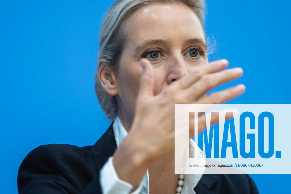 AfD: The Impact of the State Elections in Berlin and Mecklenburg-Western Pomerania on Federal Politics in Germany, Berlin, September 21, 2026 One day after the AfD’s successes in the state elections in Mecklen