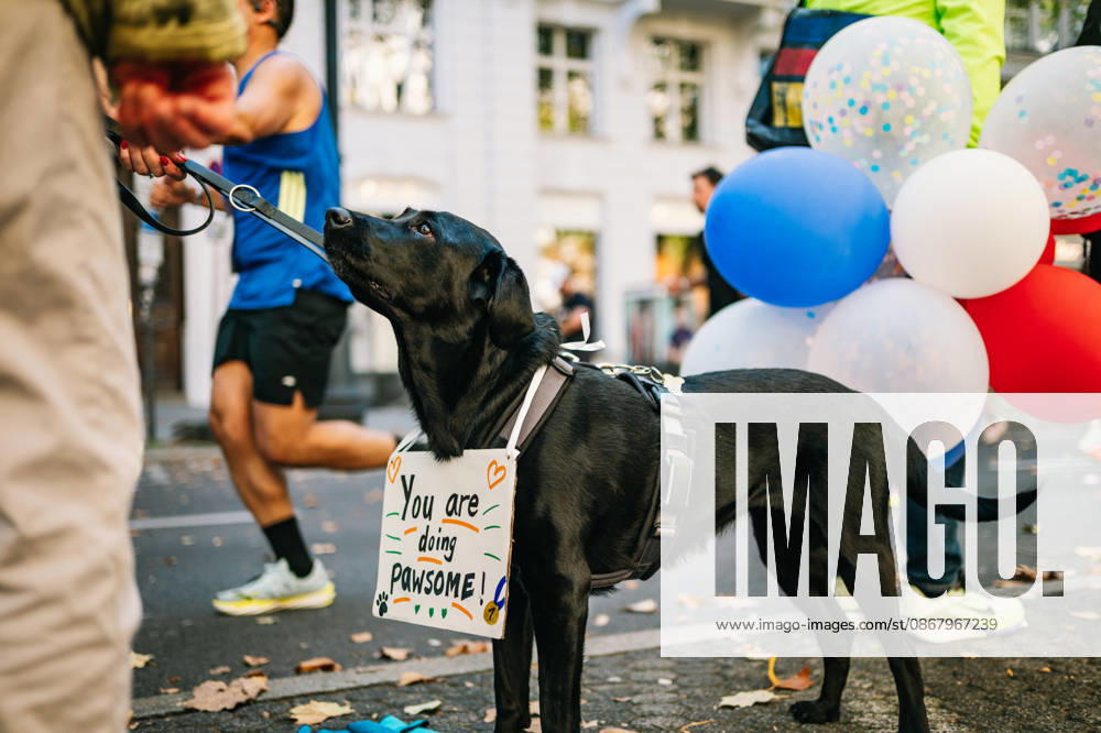 Highlights from the 52nd BMW BERLIN MARATHON on September 27, 2026, in Berlin: Runners on the marathon course and spectators lining the route of the 2026 BMW Berlin Marathon
