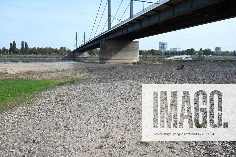 Low water levels in the Rhine have exposed a large sandbar; on the right is the Theodor Heuss Bridge, low water levels in the Rhine near Düsseldorf, Düsseldorf on September 28, 2026,