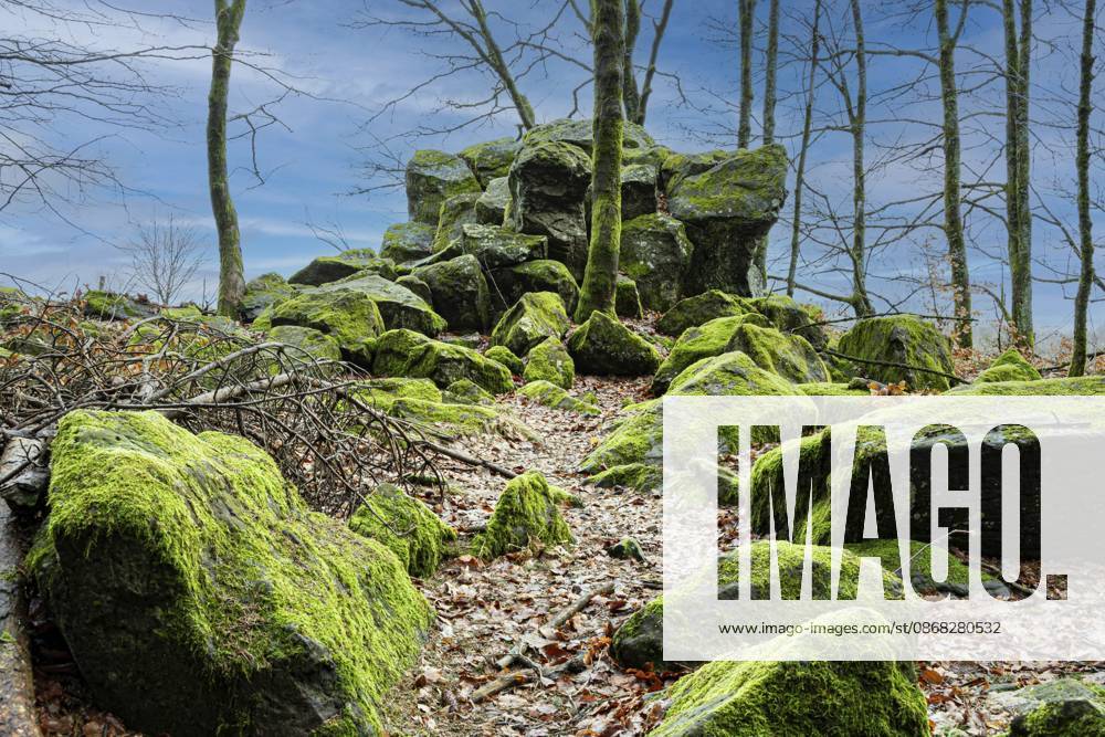 Naturdenkmal in der Röhn bestehend aus Basaltsteinen die zum Teil kräftig mit Moos bewachsen sind Natural monument in the Röhn consisting of basalt stones that are partly heavily overgrown with moss