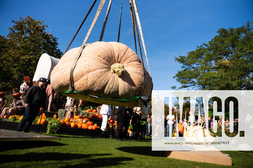 Danish Giant Pumpkin Championship Results Announced: Peter Holst Olsen’s giant pumpkin, weighing 1,198 kg, wins the Danish Giant Pumpkin Championship at Tivoli in Copenhagen on Saturday, October 3, 2026. Photo by Emil Nicolai Helms, Scanpix 2026, Copenhagen, Denmark