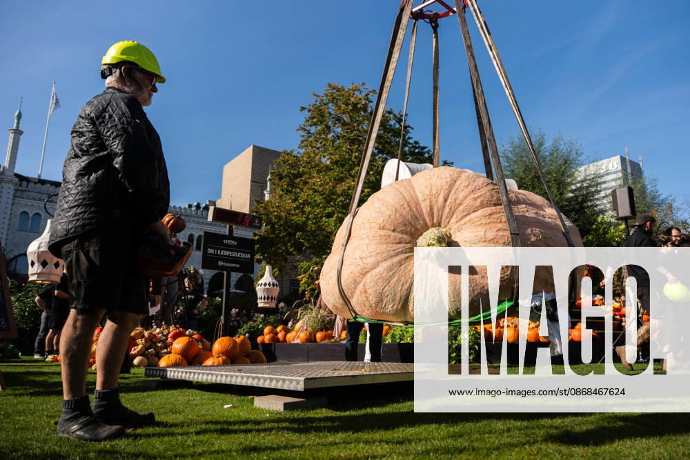 Danish Giant Pumpkin Championship Results Announced: Peter Holst Olsen’s giant pumpkin, weighing 1,198 kg, wins the Danish Giant Pumpkin Championship at Tivoli in Copenhagen on Saturday, October 3, 2026. Photo by Emil Nicolai Helms, Scanpix 2026, Copenhagen, Denmark